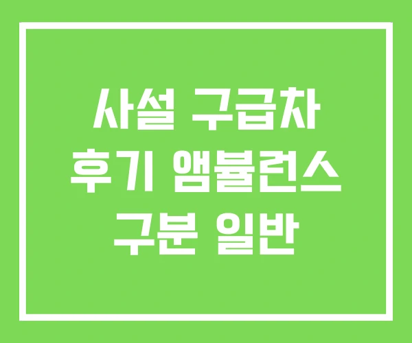사설 구급차 후기 앰뷸런스 구분 일반