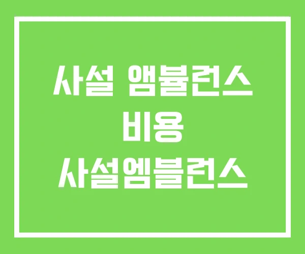 사설 앰뷸런스 비용 사설엠블런스