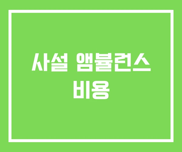 사설 앰뷸런스 비용 사설 앰뷸런스 비용