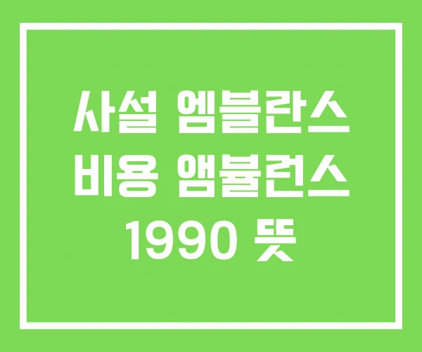 사설 엠블란스 비용 앰뷸런스 1990 뜻