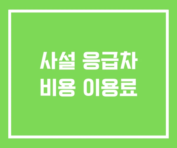 사설 응급차 비용 이용료