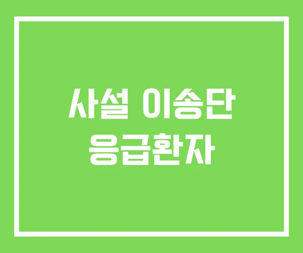 사설 이송단 응급환자