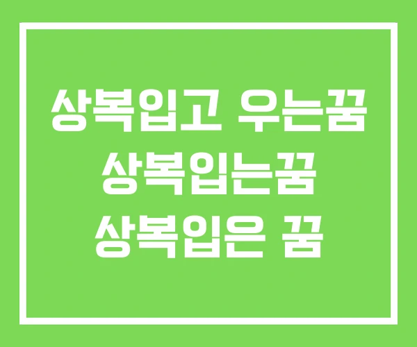 상복입고 우는꿈 상복입는꿈 상복입은 꿈 상복입고 우는꿈 상복입는꿈 상복입은 꿈