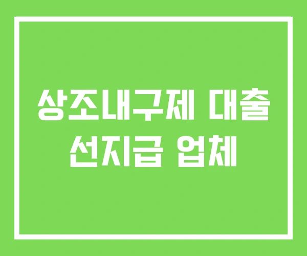상조내구제 대출 선지급 업체 상조내구제 대출 선지급 업체