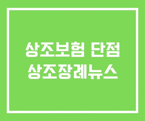 상조보험 단점 상조장례뉴스