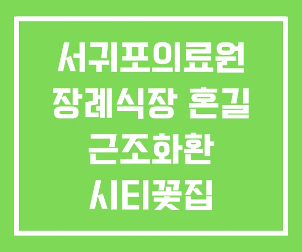 서귀포의료원 장례식장 혼길 근조화환 시티꽃집 화환꽃집