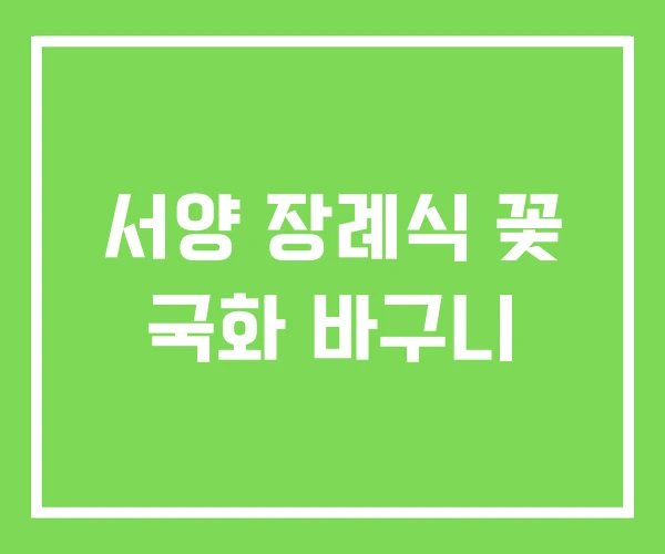 서양 장례식 꽃 국화 바구니 서양 장례식 꽃 국화 바구니