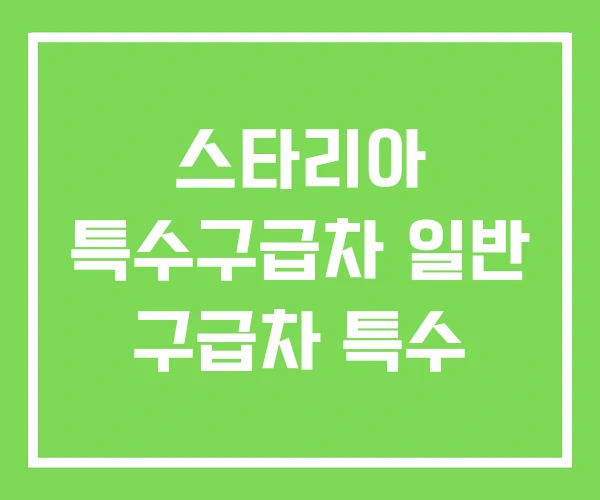 스타리아 특수구급차 일반 구급차 특수 스타리아 특수구급차 일반 구급차 특수