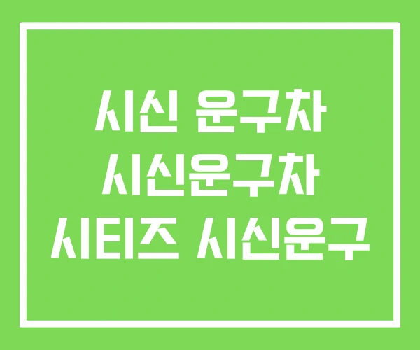 시신 운구차 시신운구차 시티즈 시신운구