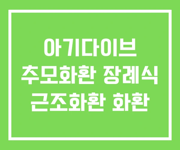 아기다이브 추모화환 장례식 근조화환 화환