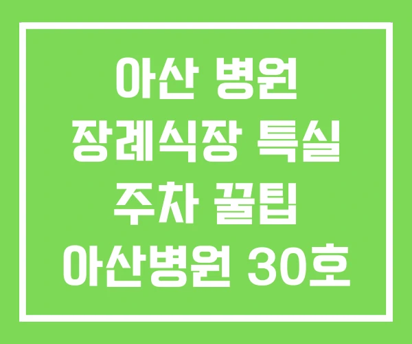 아산 병원 장례식장 특실 주차 꿀팁 아산병원 30호 아산 병원 장례식장 특실 주차 꿀팁 아산병원 30호