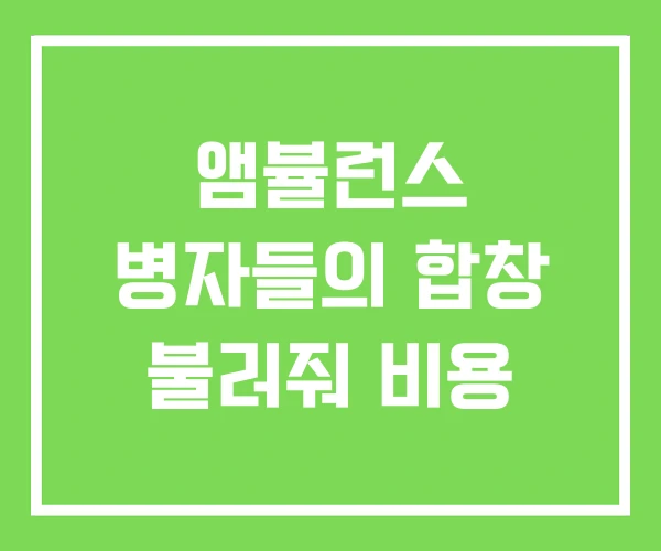 앰뷸런스 병자들의 합창 불러줘 비용