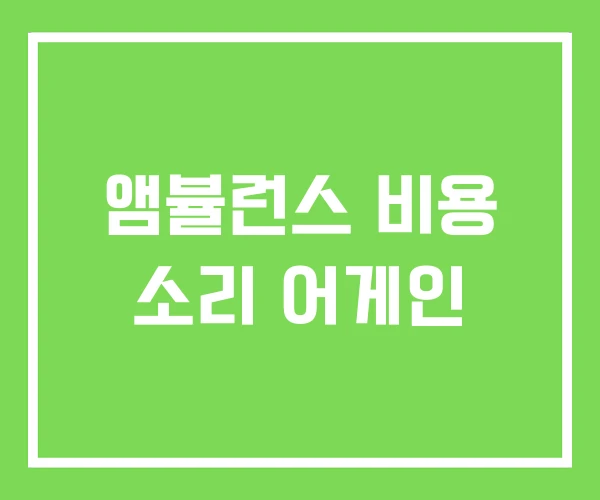 앰뷸런스 비용 소리 어게인