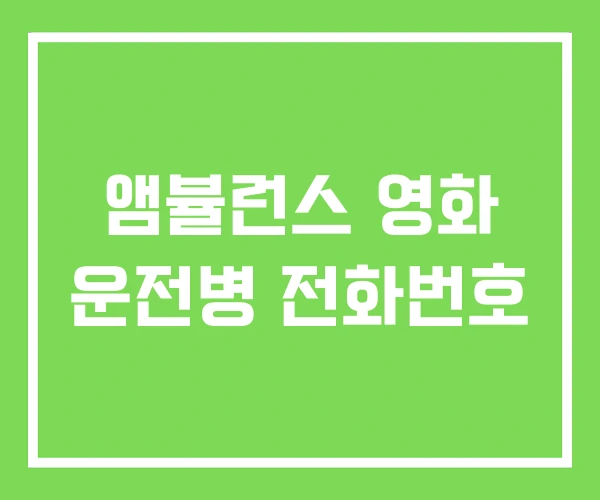 앰뷸런스 영화 운전병 전화번호 앰뷸런스 영화 운전병 전화번호
