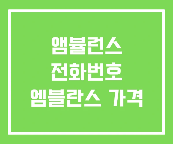 앰뷸런스 전화번호 엠블란스 가격 앰뷸런스 전화번호 엠블란스 가격