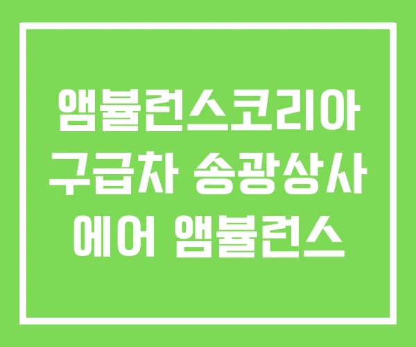 앰뷸런스코리아 구급차 송광상사 에어 앰뷸런스 앰뷸런스코리아 구급차 송광상사 에어 앰뷸런스