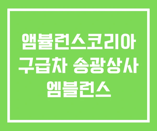앰뷸런스코리아 구급차 송광상사 엠블런스