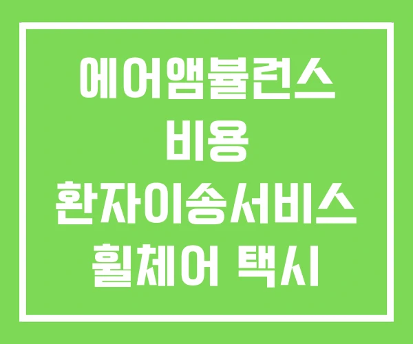 에어앰뷸런스 비용 환자이송서비스 휠체어 택시