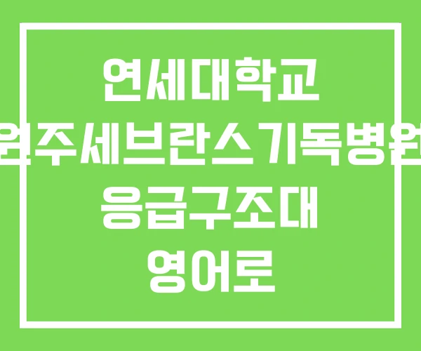 연세대학교 원주세브란스기독병원 응급구조대 영어로 연세대학교 원주세브란스기독병원 응급구조대 영어로