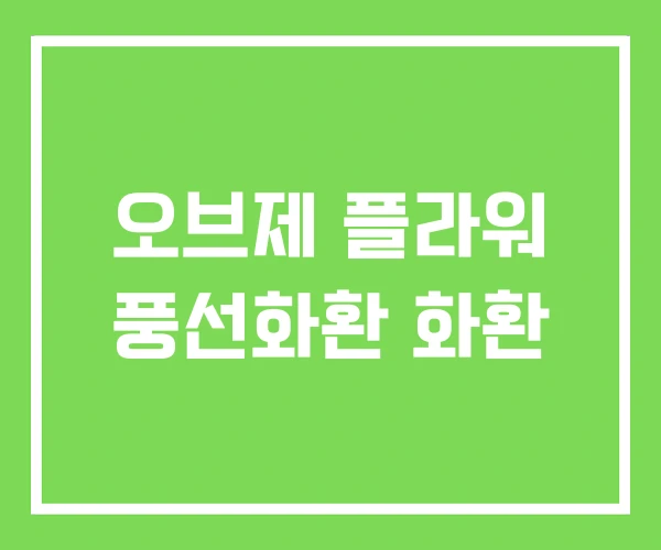 오브제 플라워 풍선화환 화환 오브제 플라워 풍선화환 화환