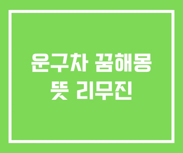 운구차 꿈해몽 뜻 리무진 운구차 꿈해몽 뜻 리무진