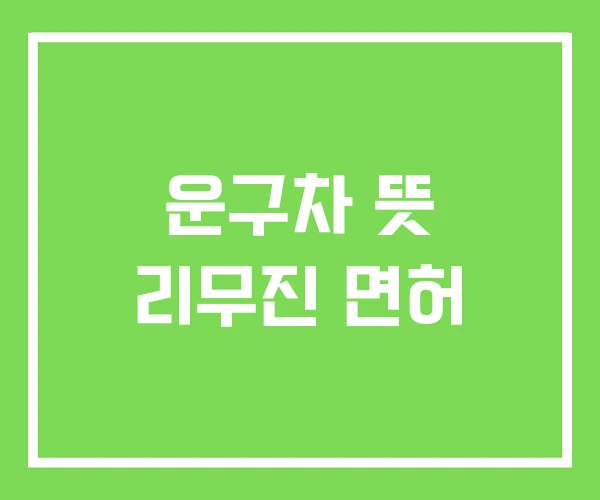운구차 뜻 리무진 면허 운구차 뜻 리무진 면허