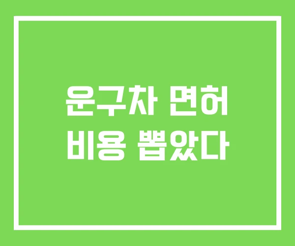 운구차 면허 비용 뽑았다 운구차 면허 비용 뽑았다