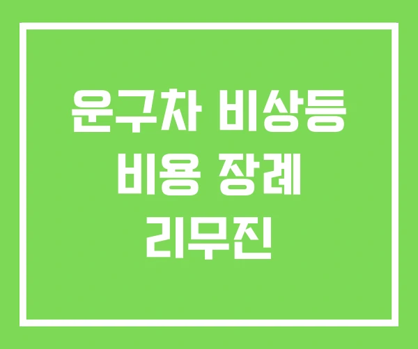 운구차 비상등 비용 장례 리무진