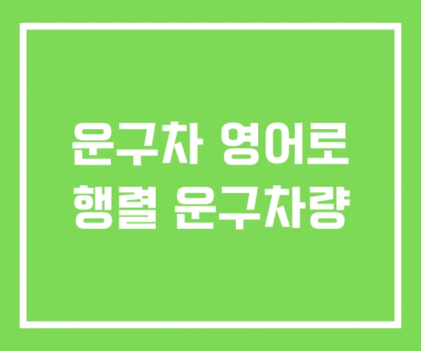 운구차 영어로 행렬 운구차량 운구차 영어로 행렬 운구차량
