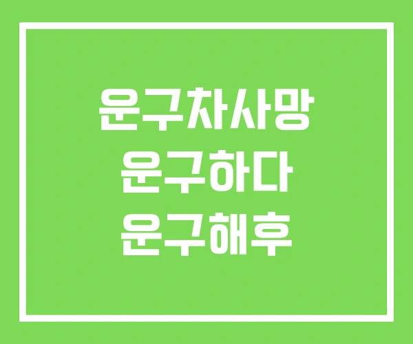 운구차사망 운구하다 운구해후