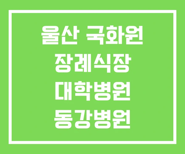 울산 국화원 장례식장 대학병원 동강병원