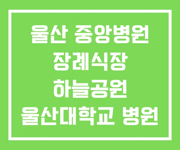 울산 중앙병원 장례식장 하늘공원 울산대학교 병원 울산 중앙병원 장례식장 하늘공원 울산대학교 병원