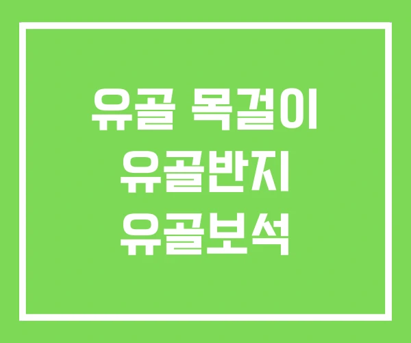 유골 목걸이 유골반지 유골보석 유골 목걸이 유골반지 유골보석