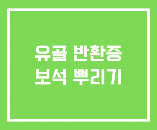 유골 반환증 보석 뿌리기 유골 반환증 보석 뿌리기