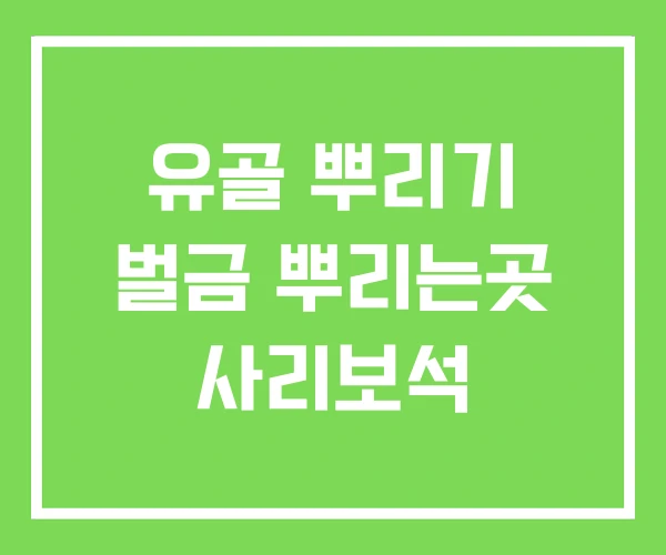 유골 뿌리기 벌금 뿌리는곳 사리보석