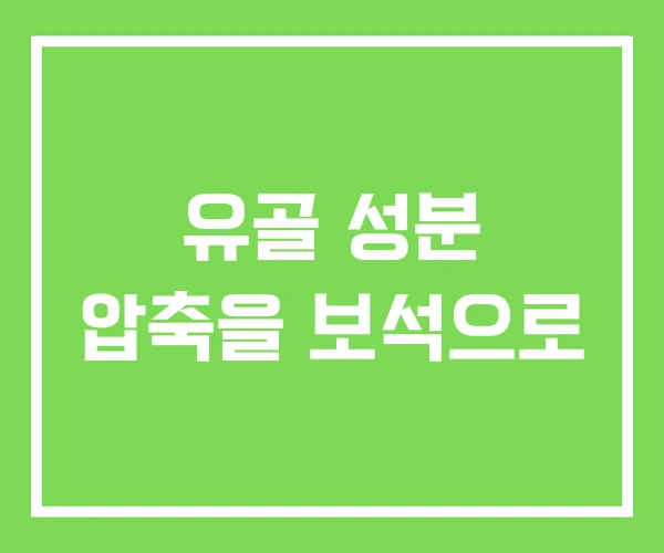 유골 성분 압축을 보석으로 유골 성분 압축을 보석으로