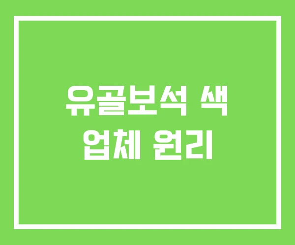유골보석 색 업체 원리