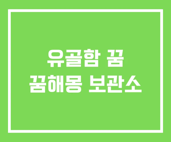 유골함 꿈 꿈해몽 보관소