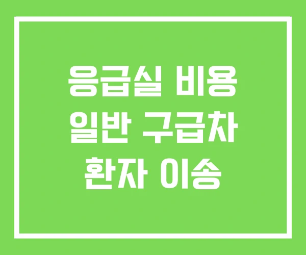 응급실 비용 일반 구급차 환자 이송 응급실 비용 일반 구급차 환자 이송