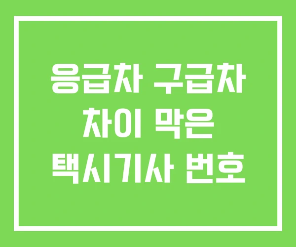 응급차 구급차 차이 막은 택시기사 번호