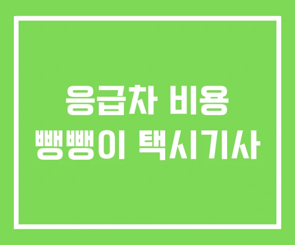 응급차 비용 뺑뺑이 택시기사