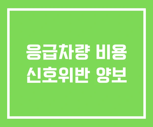 응급차량 비용 신호위반 양보 응급차량 비용 신호위반 양보