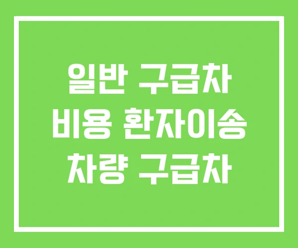 일반 구급차 비용 환자이송 차량 구급차 일반 구급차 비용 환자이송 차량 구급차