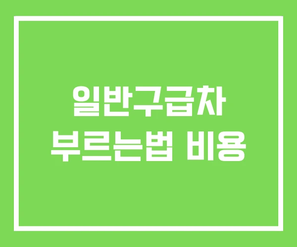 일반구급차 부르는법 비용