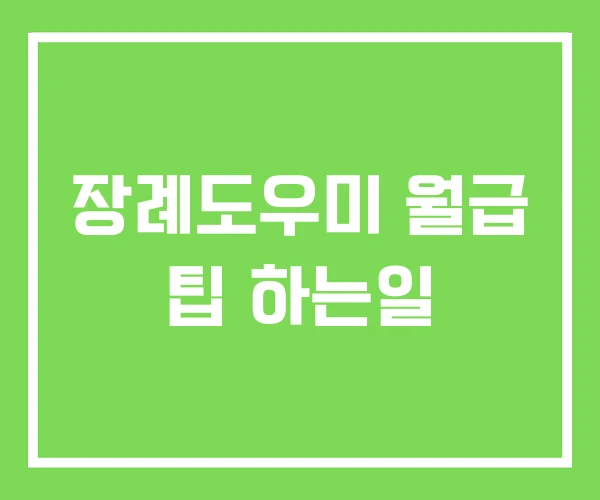 장례도우미 월급 팁 하는일