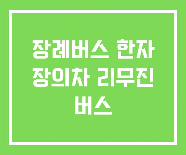 장례버스 한자 장의차 리무진 버스