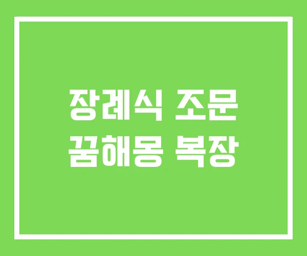 장례식 조문 꿈해몽 복장