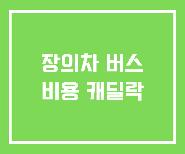 장의차 버스 비용 캐딜락