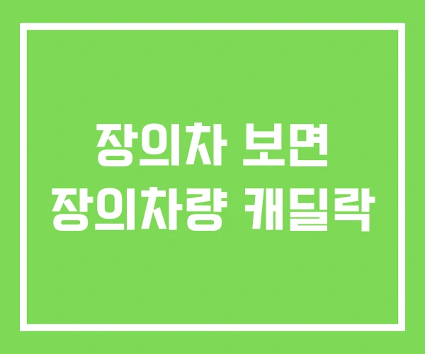 장의차 보면 장의차량 캐딜락 장의차 보면 장의차량 캐딜락