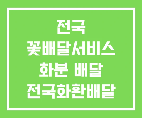 전국 꽃배달서비스 화분 배달 전국화환배달